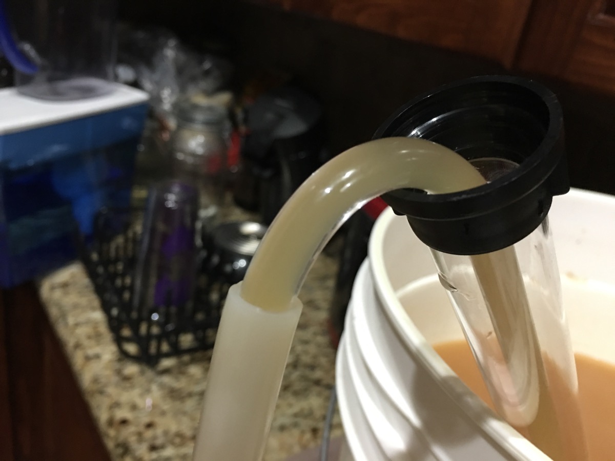 Auto-Siphon Auto-Siphon