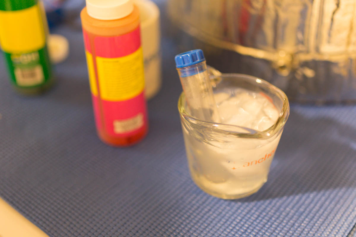 Brewing With a Master - Ricardo Fritzsche