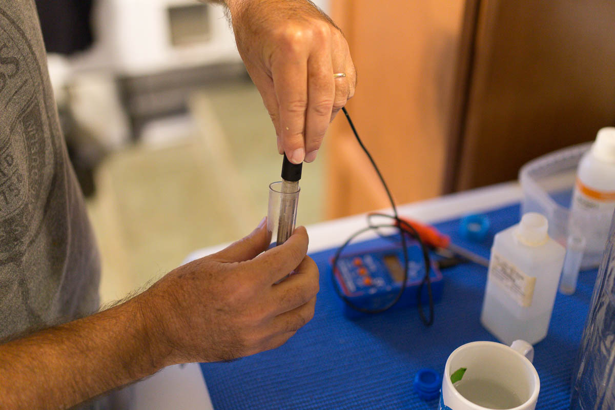 Brewing With a Master - Ricardo Fritzsche