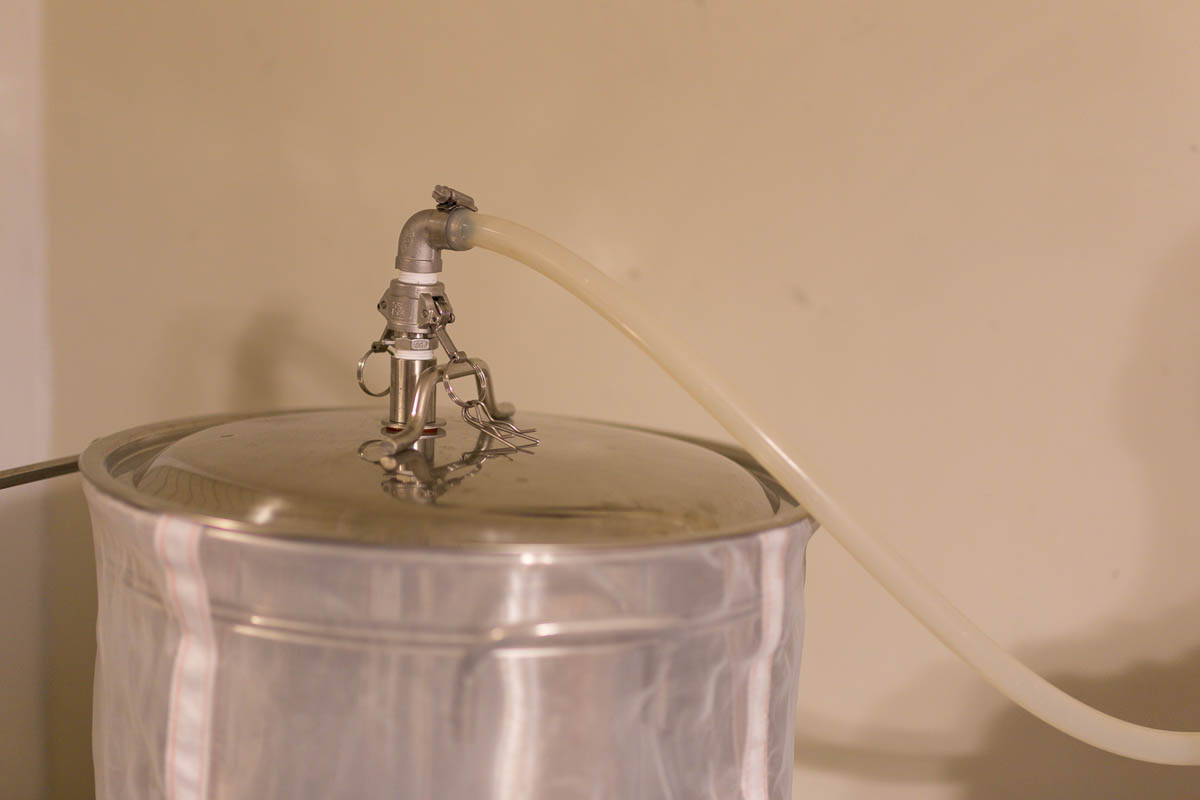 Brewing With a Master - Ricardo Fritzsche