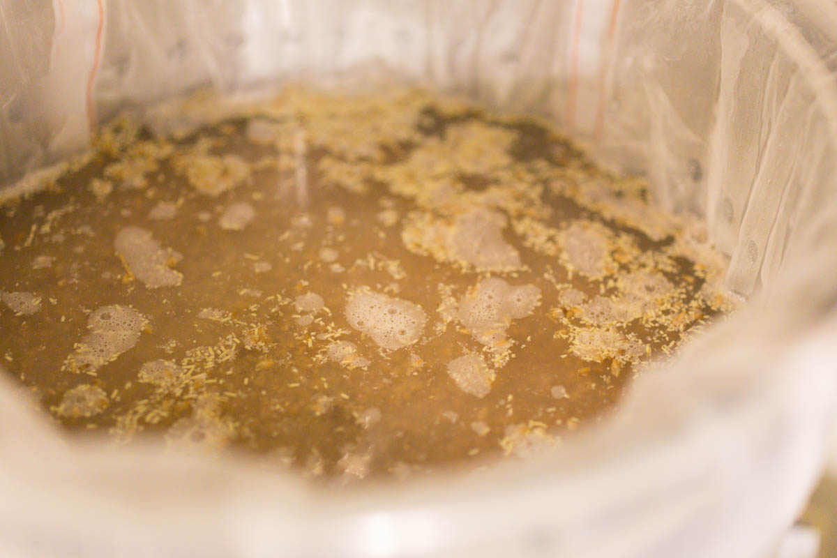 Brewing With a Master - Ricardo Fritzsche