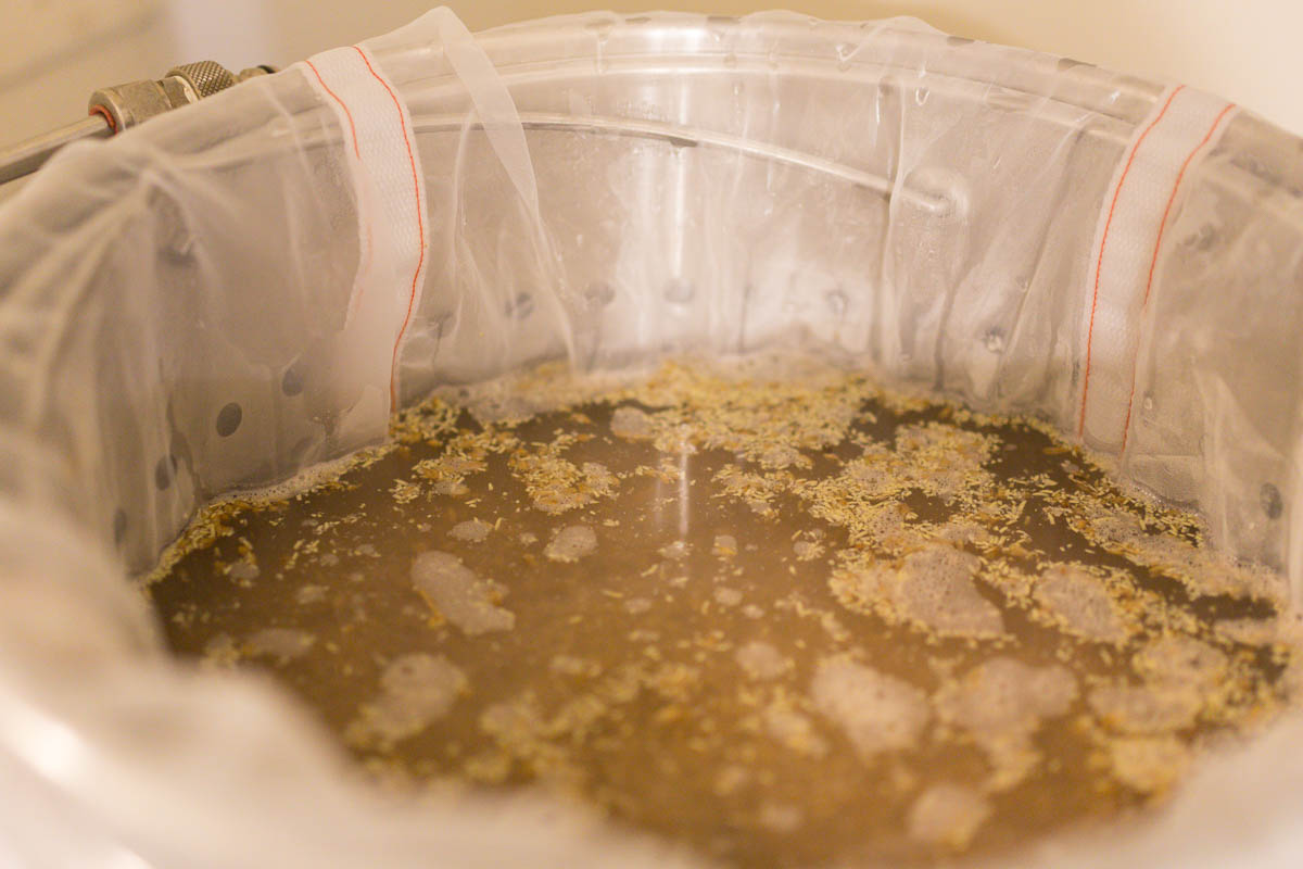 Brewing With a Master - Ricardo Fritzsche