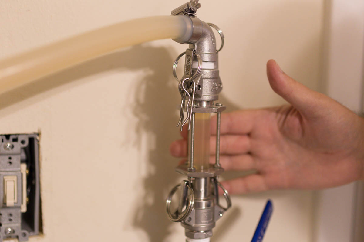 Brewing With a Master - Ricardo Fritzsche