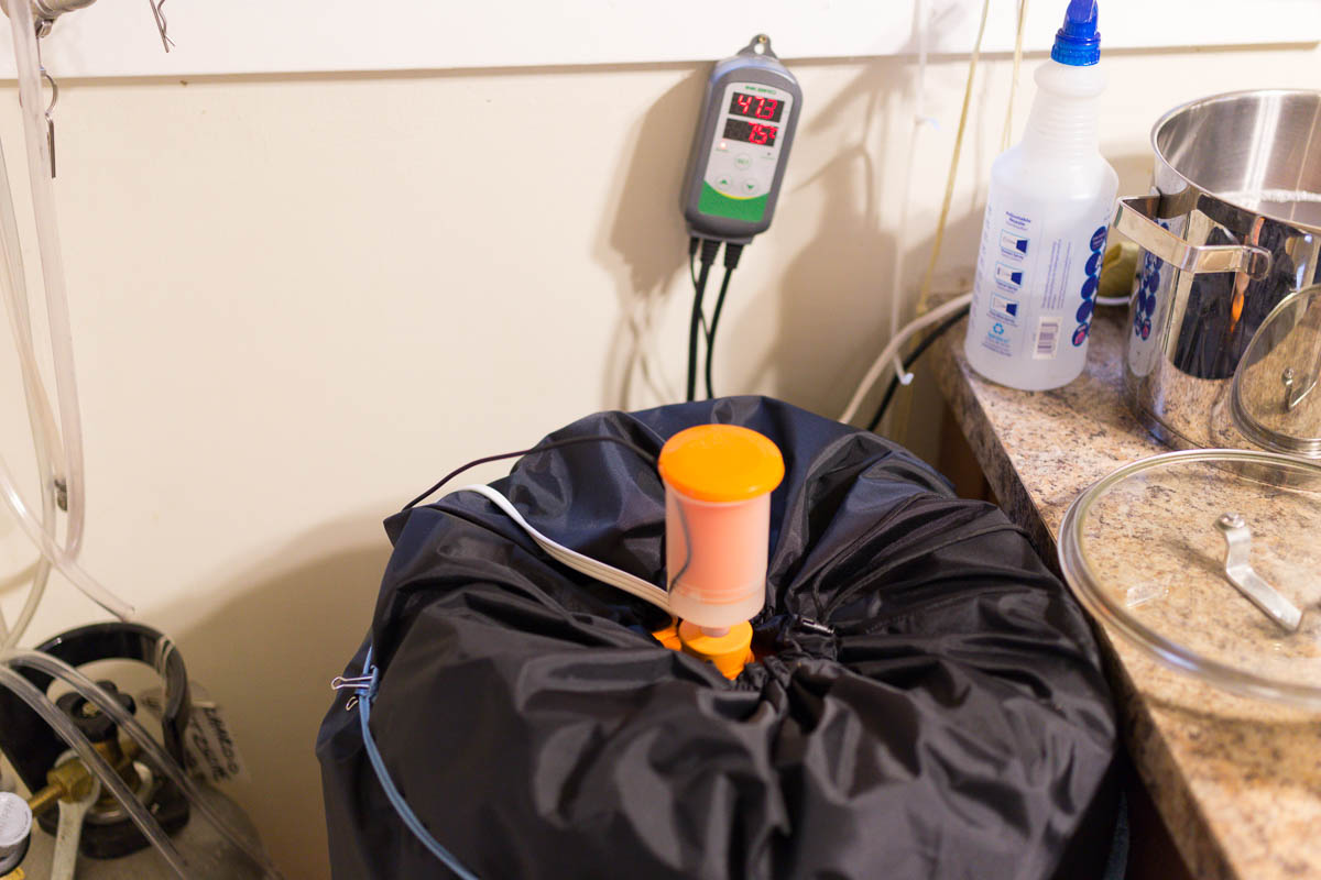 Brewing With a Master - Ricardo Fritzsche