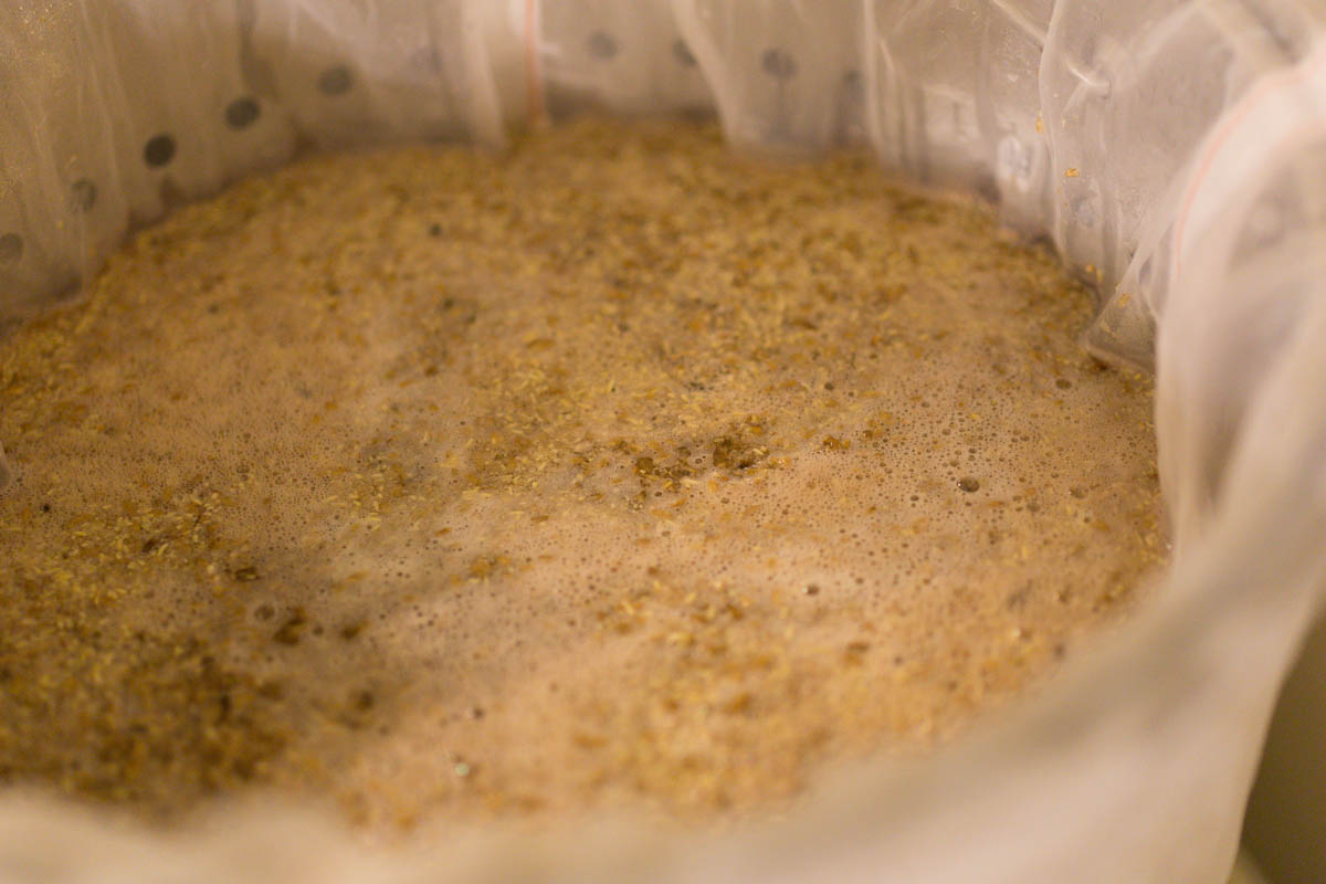 Brewing With a Master - Ricardo Fritzsche