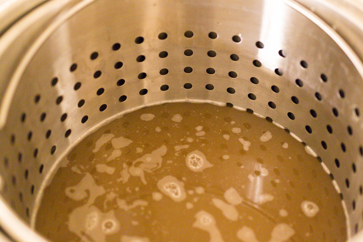 Brewing With a Master - Ricardo Fritzsche