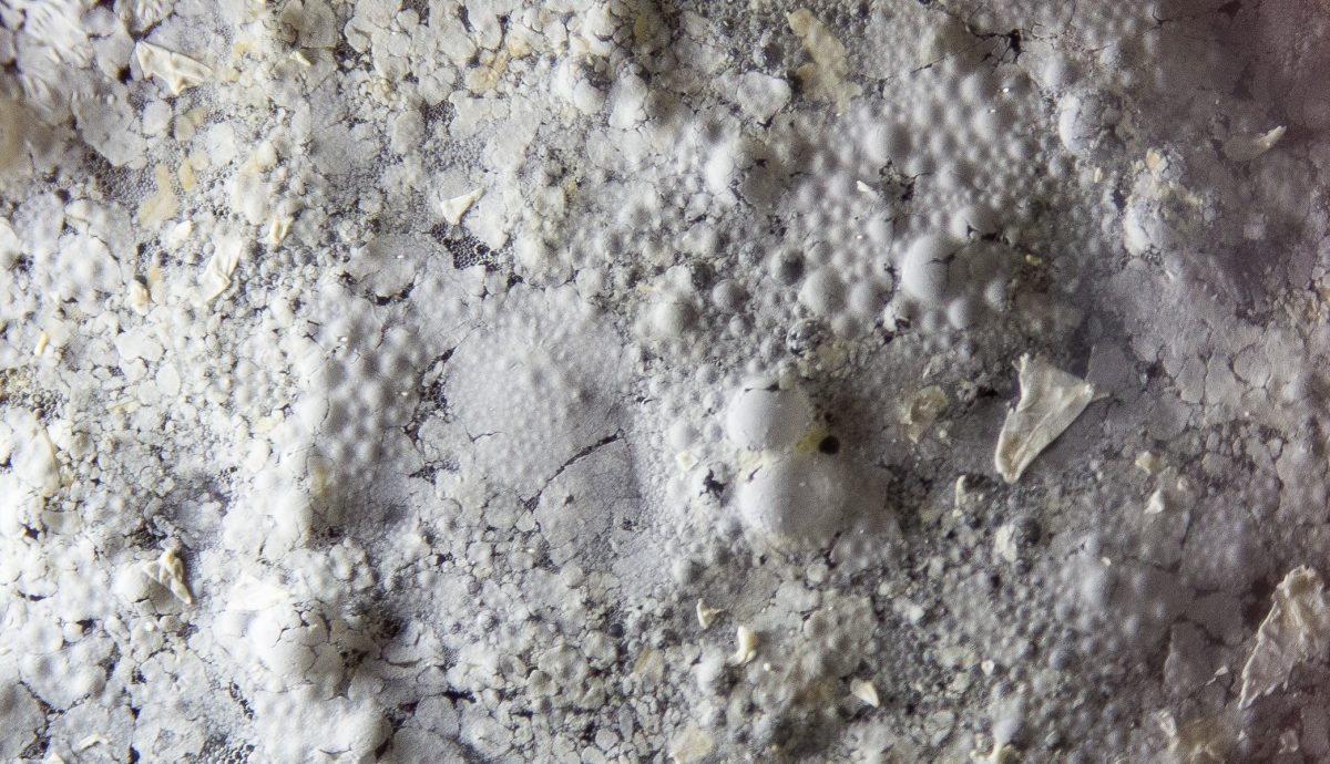 Brett on Saison Close Up