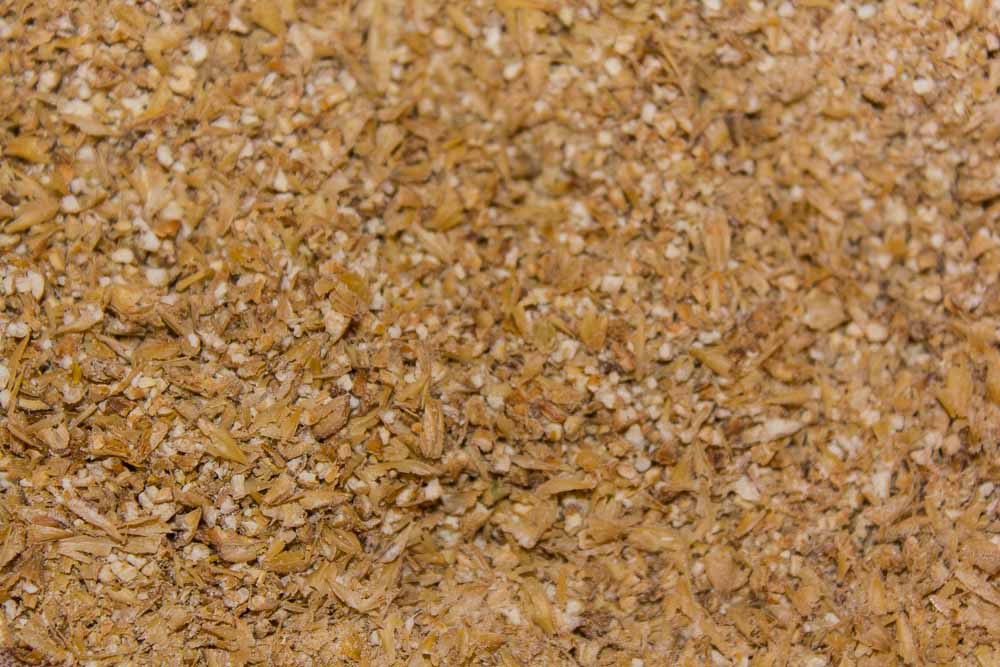 yeastexp_brewdat (17 of 100)