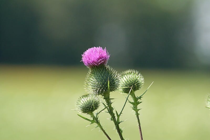 When Perfection is the Enemy of...