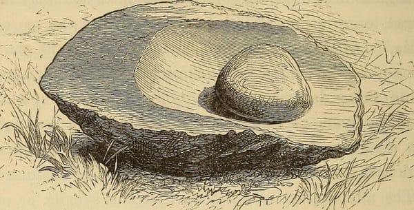 Improving Your Recipes