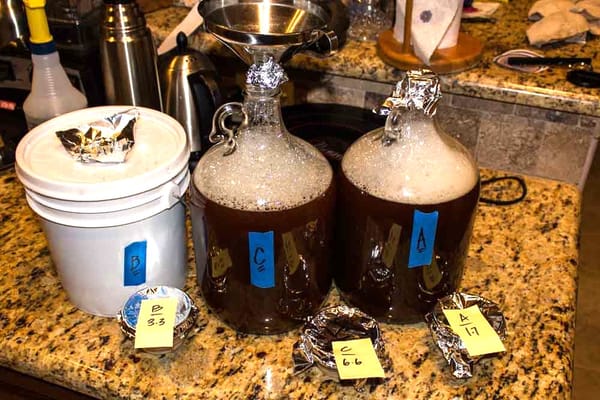 Yeast Pitching Experiment Batch Update 1.0
